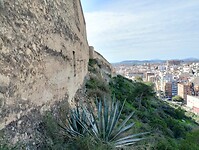 IMG_20260121_132826884_HDR