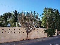 IMG_20260124_104119213