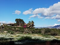 IMG_20260124_130625947