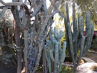 IMG_20260124_131217696
