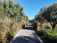 IMG_20260124_131759601