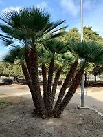 IMG_20260125_120153509_HDR