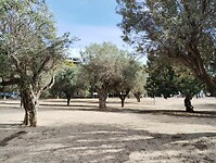 IMG_20260125_120434459