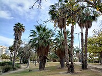 IMG_20260125_120855693_HDR