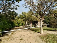 IMG_20260125_121124205_HDR