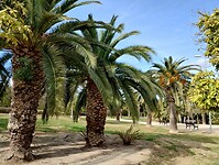 IMG_20260125_121326164_HDR