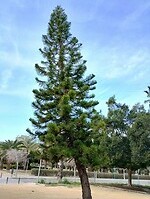 IMG_20260125_122145989_HDR