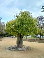 IMG_20260125_122305335_HDR