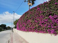 IMG_20260125_124422549