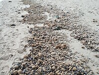 IMG_20260125_125854069