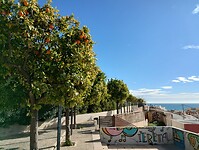 IMG_20260127_120127220_HDR