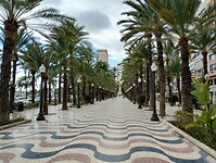 IMG_20260127_134439230_HDR