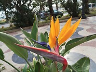 IMG_20260127_134629442