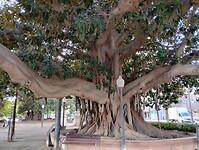 IMG_20260127_134857023_HDR