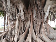 IMG_20260127_134945360