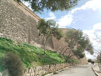 IMG_20260127_141549631