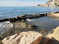 IMG_20260130_103922986