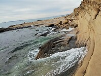 IMG_20260130_115503062