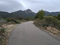 20260201_115430