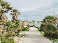 IMG_20260201_105255386