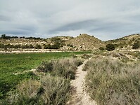 IMG_20260201_111456103