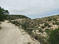 IMG_20260201_112238221