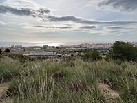 IMG_20260201_112802481_HDR