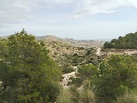 IMG_20260201_113057593