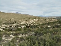 IMG_20260201_113951839
