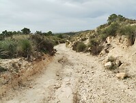 IMG_20260201_115109984