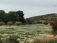 IMG_20260201_120420129