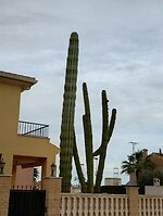 IMG_20260201_123426593_HDR