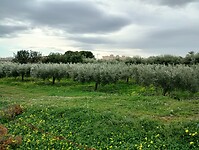 IMG_20260201_123547003_HDR