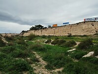 IMG_20260201_125911155