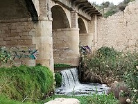 IMG_20260201_125950767