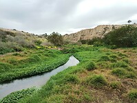 IMG_20260201_130316135