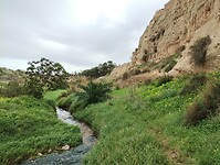 IMG_20260201_130515564