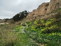 IMG_20260201_130713118
