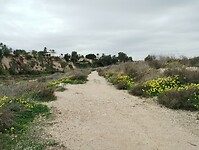 IMG_20260201_131707275