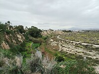 IMG_20260201_133255332