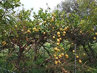 IMG_20260201_135500199