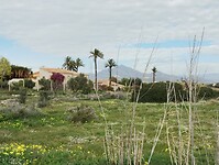 IMG_20260201_143228174