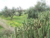IMG_20260201_143326223