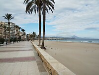 IMG_20260201_145439488