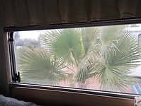 IMG_20260204_173650523