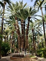 IMG_20260205_104437216_HDR