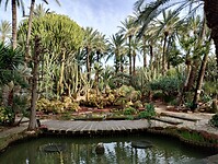 IMG_20260205_104657086_HDR
