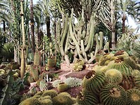 IMG_20260205_105249851