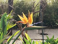 IMG_20260205_105820265
