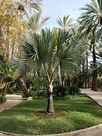IMG_20260205_105853639